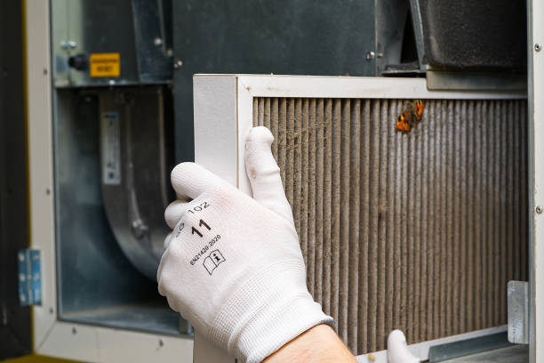 Best Dryer Vent Cleaning Services  in , AZ