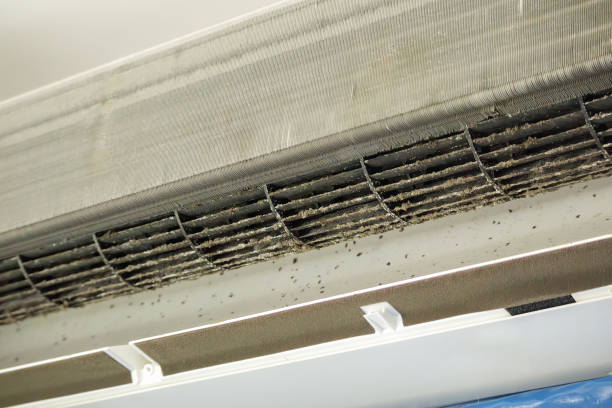 Best HVAC Maintenance and Cleaning  in , AZ