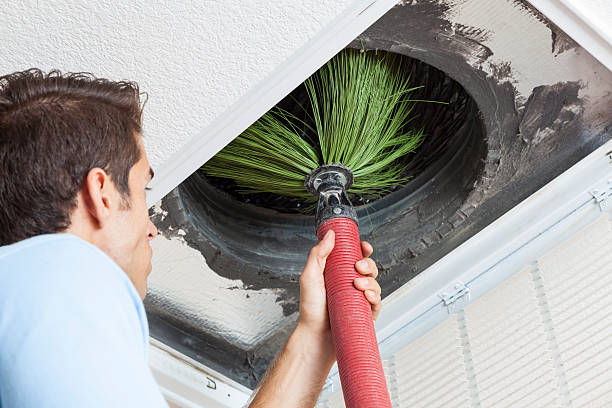 Best Commercial Air Duct Cleaning  in , AZ