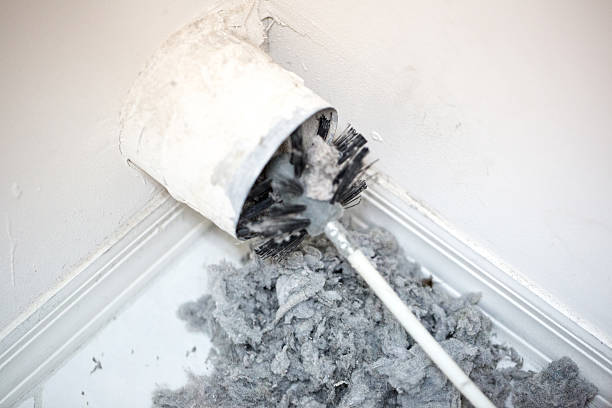 Best Emergency Air Duct Cleaning  in , AZ